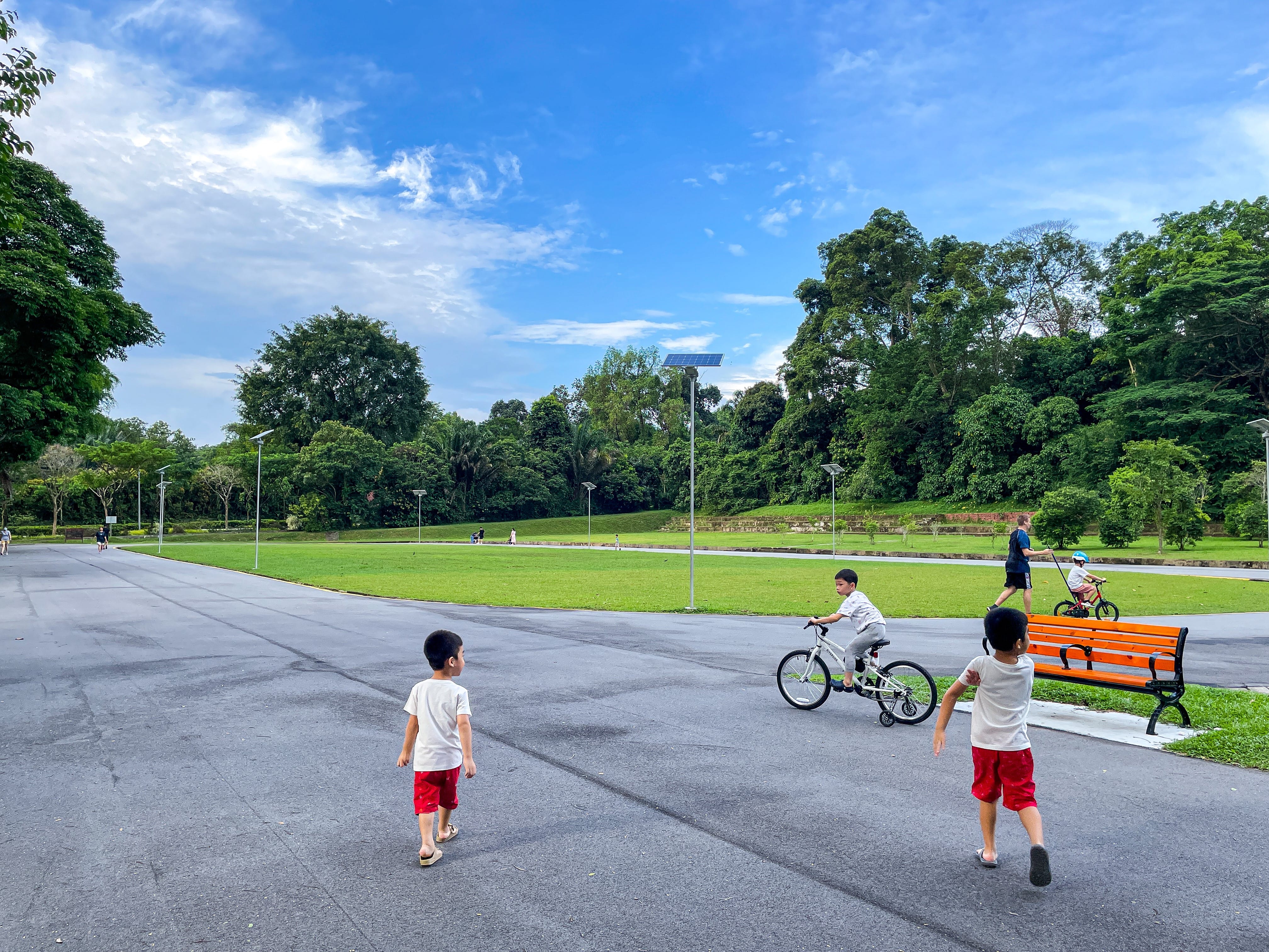 Photo of kids playing in a park
